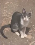 Princesa e seu filhos