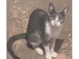 Princesa e seu filhos
