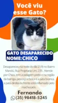 Chico