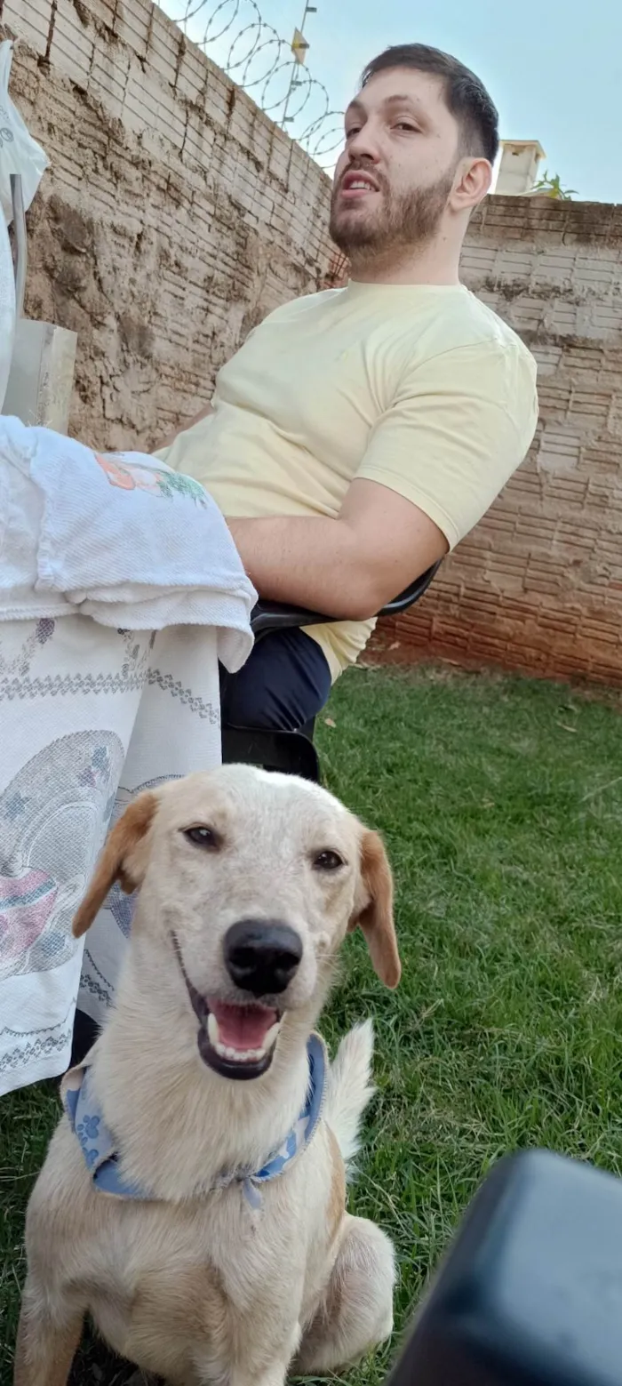 Cachorro ra a SRD-ViraLata idade 3 anos nome Chico