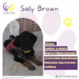 Sally Brown