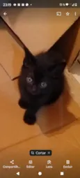 Pretinha fofinha