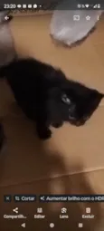 Pretinha fofinha