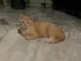 Christopher