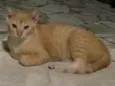 Christopher