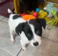 Luma