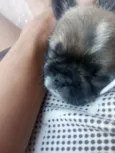 Billy