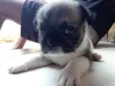 Billy