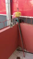 4 gatinhos fofinhos