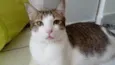 Milly