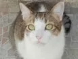 Milly