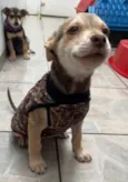 João