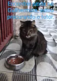 Desconhecido