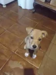 Esperança ,já foi adotada