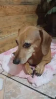 Valentina