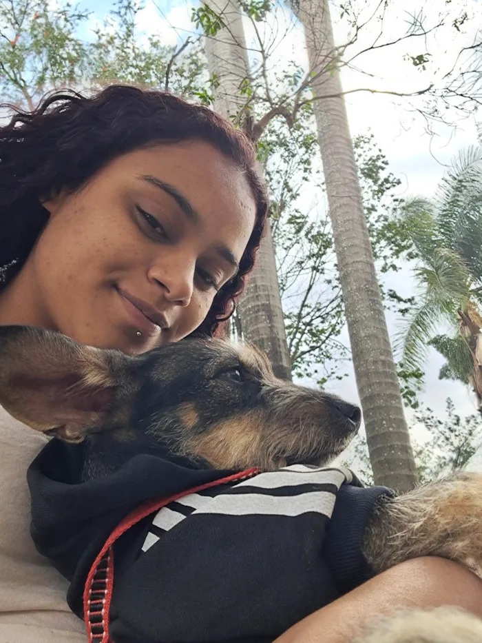 Cachorro ra a SRD-ViraLata idade 7 a 11 meses nome Valentina 