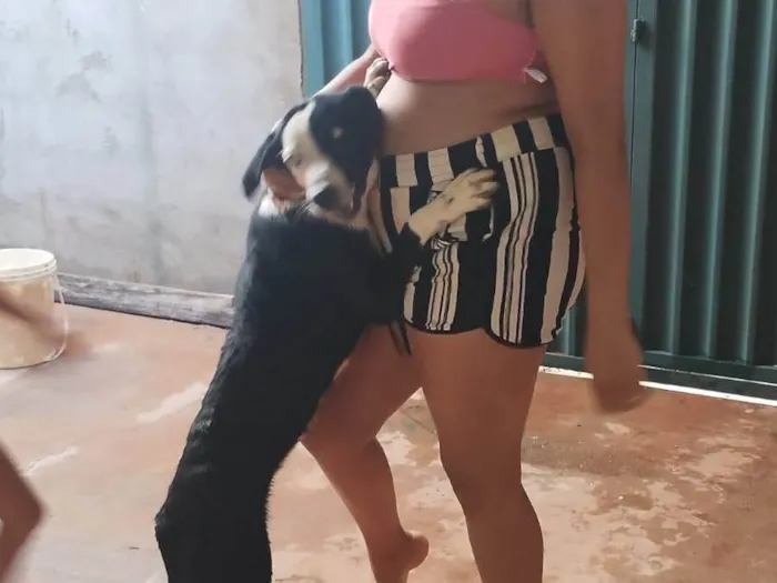 Cachorro ra a SRD-ViraLata idade 7 a 11 meses nome Kiara