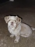Frederico