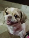 Frederico