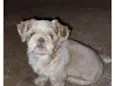 Frederico
