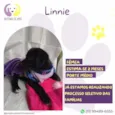 Linnie