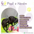 Pepe e nenem