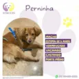 Perninha