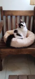 Charlie
