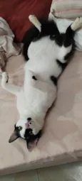 Charlie