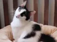 Charlie