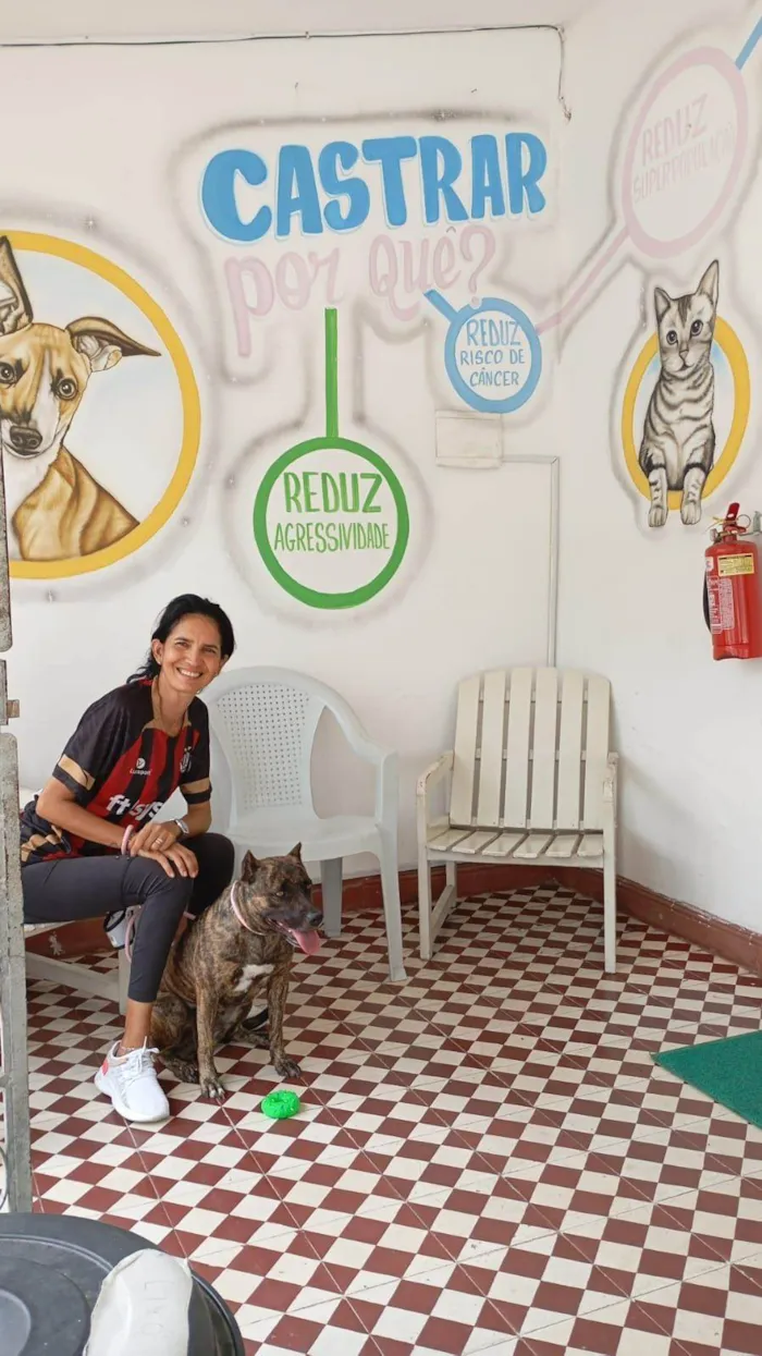 Cachorro ra a Pit-Bull idade 3 anos nome Michelle