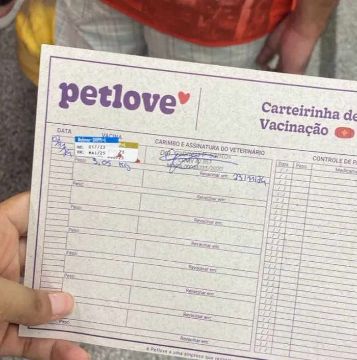 Cachorro ra a SRD-ViraLata idade 2 a 6 meses nome Pipoca