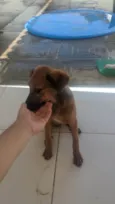 Sem nome 