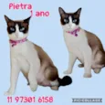 Pietra