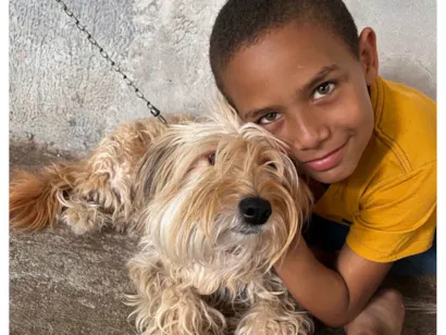 Cachorro raça Poodle idade 2 anos nome Ravena