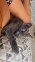 Afonso e Ravena bbs 8meses lindos