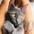 Afonso e Ravena bbs 8meses lindos