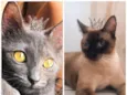 Afonso e Ravena bbs 8meses lindos