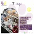 Thiago