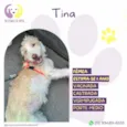 Tina