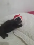 Zoe