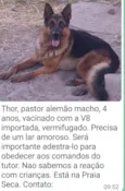 Thor