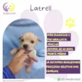 Latrell