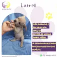 Latrell