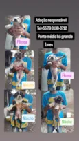 Filhotes