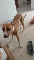 Mel