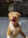 Zoe