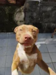 Zoe