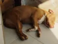 Zoe
