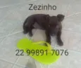 Zezinho 